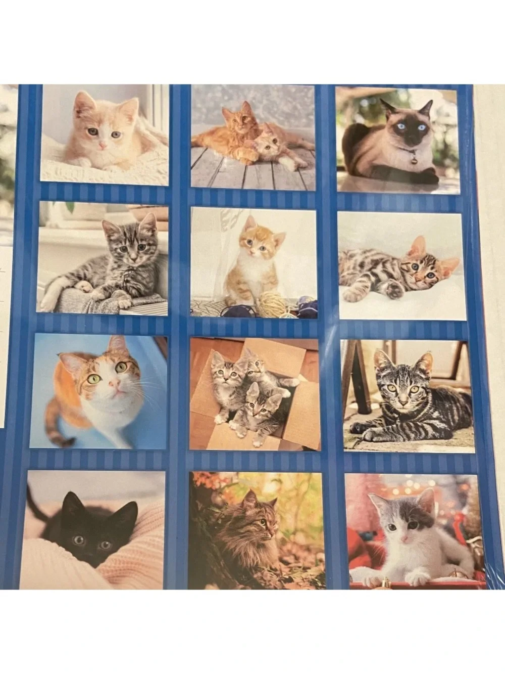 2025 Cats And Kittens 16 Month Calendar 11 x 10 Sealed New.
